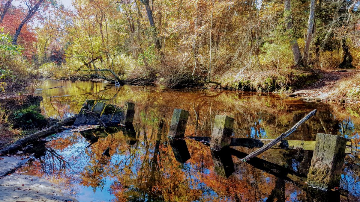 jason howell Inskips great egg harbor river resized